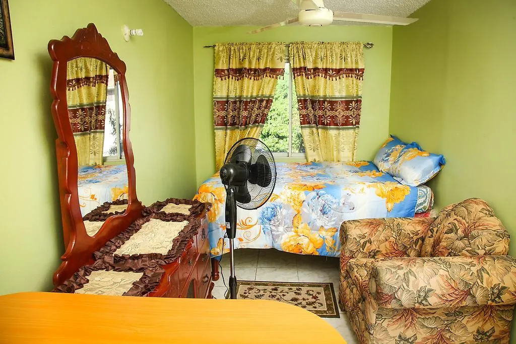Angel'S Apartment Jamaica