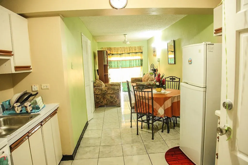 Angel'S Apartment Jamaica